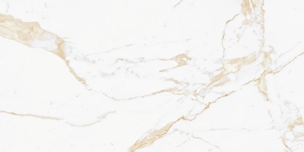 MARBLE VISION Calacatta Caldo 60x120